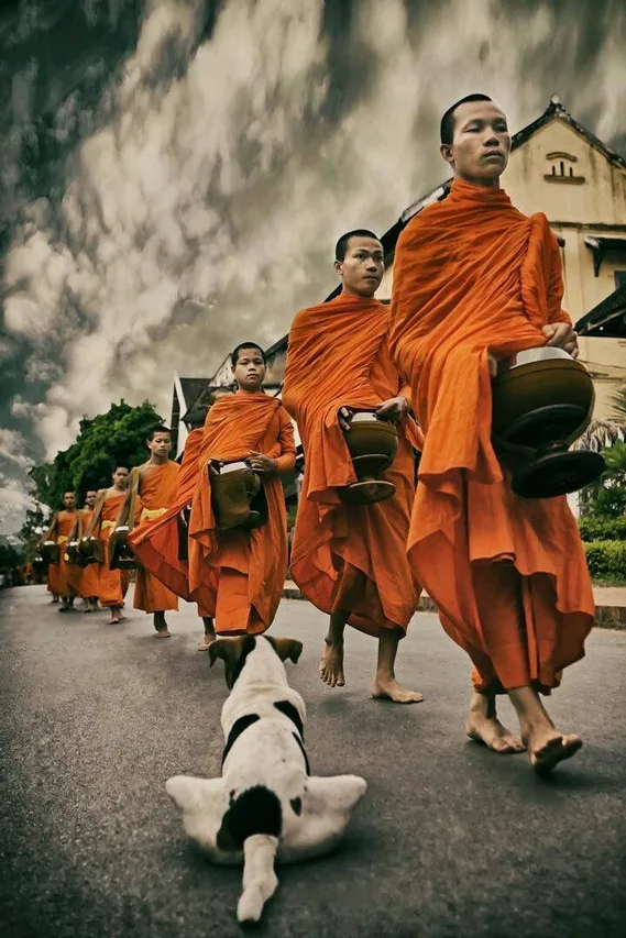 Bhikkhus caminando por la calle con sus cuencos